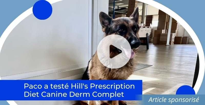 On a testé : Les pâtées Hill's Prescription Diet Canine Derm Complet [VIDEO]