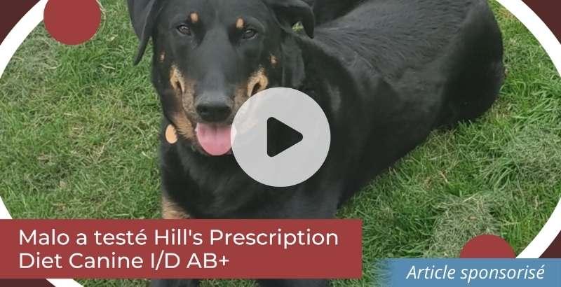 On a testé : Les pâtées Hill's Prescription Diet Canine I/D AB+ [VIDEO]