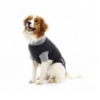 Buster Body Suit chien XL