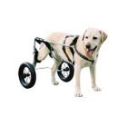 Chariot Canis Mobile pour chien paralysé du train arrière GM
