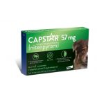 Capstar 57 mg pour chien