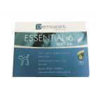 Dermoscent Essential 6 Chat 4 pipettes- La Compagnie des Animaux