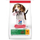 Hill's Science Plan Canine Puppy Medium Poulet 2,5 kg