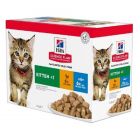 Hill's Science Plan Feline Kitten Healthy Development Pack Mixte sachets 12 x 85 grs