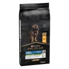 Purina Proplan Chiot Large Robust Puppy Healthy Start Poulet 12 kg