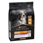 Purina Proplan Chien Medium-Large Adult 7+ Age Defence 3 kg