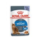 Royal Canin Féline Care Nutrition Light gelée 12 x 85 g