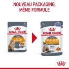 Royal Canin Féline Care Nutrition Intense Beauty gelée 12 x 85 g