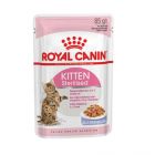 Royal Canin Kitten Sterilised sachet en gelée 12 x 85 g