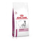 Royal Canin Vet Chien Cardiac 7.5 kg