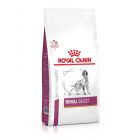 Royal Canin Vet Chien Renal Select 10 kg