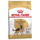 Royal Canin Berger Allemand Adult - La Compagnie des Animaux