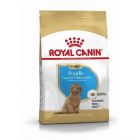 Royal Canin Caniche Puppy 3 kg