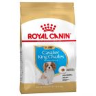 Royal Canin Cavalier King Charles Junior 1.5 kg 