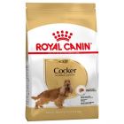 Royal Canin Cocker Adult - La Compagnie des Animaux