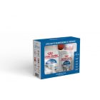 Royal Canin Coffret Indoor pour chat
