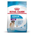 Royal Canin Junior Giant 15 kg