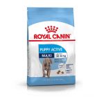 Royal Canin Maxi Junior Active 15 kg