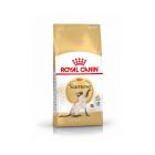 Royal Canin Siamois Adult 38 2 kg- La Compagnie des Animaux