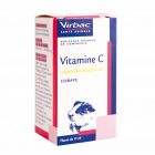 Virbac Vitamine C Cobaye 15 ml - La Compagnie des Animaux
