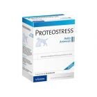 Wamine Proteostress 36 cps
