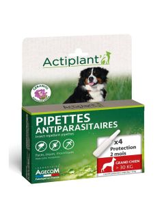 Actiplant Pipettes antiparasitaires chien >30 kg x4