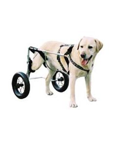 Chariot Canis Mobile pour chien paralysé du train arrière