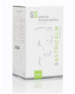 Gastricalm Solution 480ml