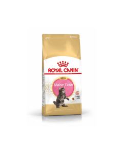Royal Canin Maine Coon Kitten 10 kg- La Compagnie des Animaux