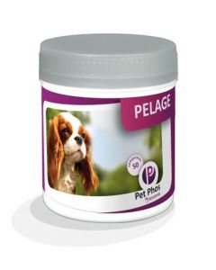 Pet Phos Pelage Chien 50 cp
