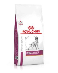 Royal Canin Vet Chien Renal Select 10 kg