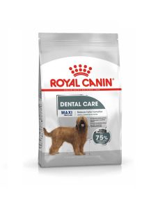 Royal Canin Canine Care Nutrition Maxi Dental Care 9 kg
