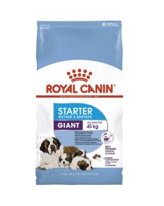 Royal Canin Giant Starter Mother and Babydog 15 kg