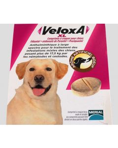 Veloxa XL Chien 2 cps- Dogteur