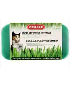 Zolux Herbe depurative naturelle pour chat 250 g - Dogteur
