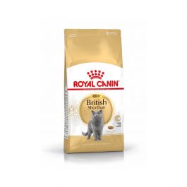 Royal Canin British Shorthair Adult 4 kg, British Shorthair