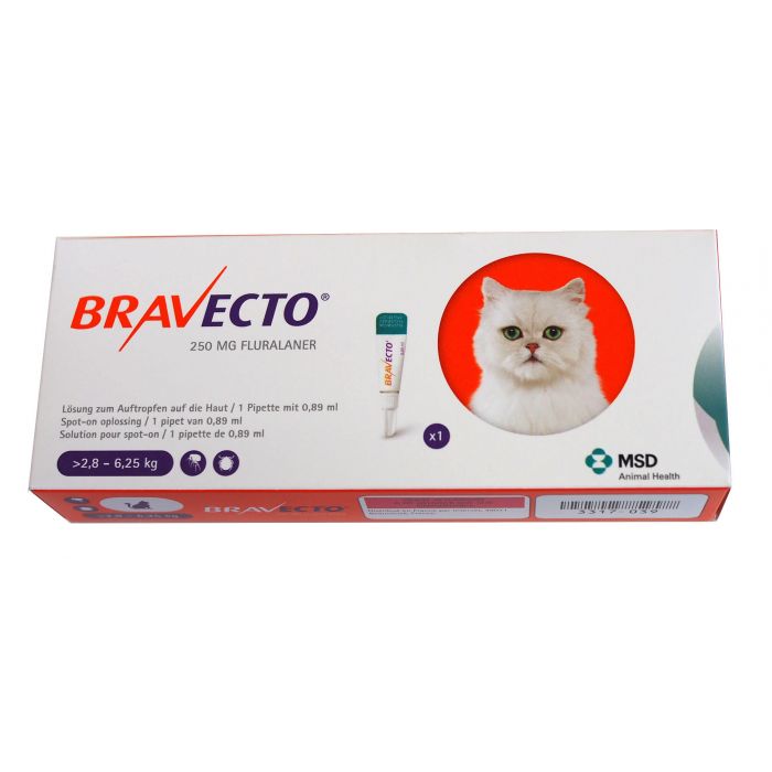 Pasture gispende Diagnose Bravecto Spot-On CHAT 2,8 | 6,2 kg 1 pipette | A-B | Dogteur