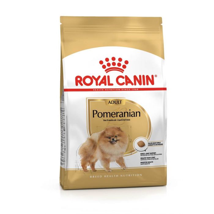 Spitz nain  Royal Canin FR