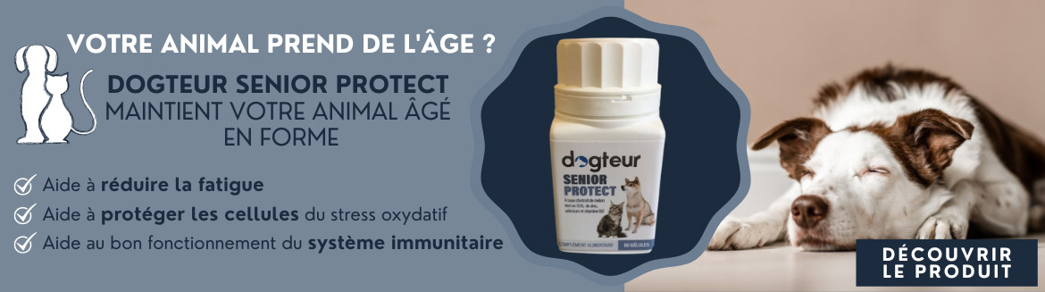 Maintenez votre animal âgé en forme avec le Dogteur Senior Protect